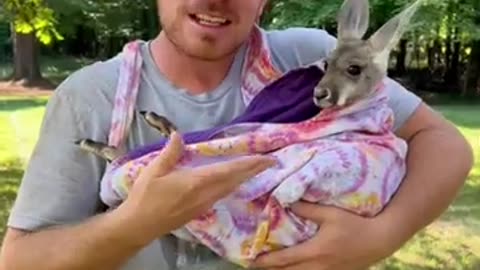Must Watch: Newest animal in the family! #animal #animals #amazinganimals