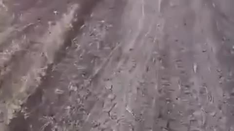 🎖️📡 Ukraine Russia War | Ukrainian Troops Deploy Fiber Optic Cables in the Field | RCF