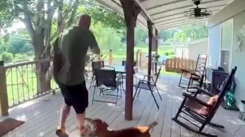 Doorbell camera catches man getting attacked by a squirrel.