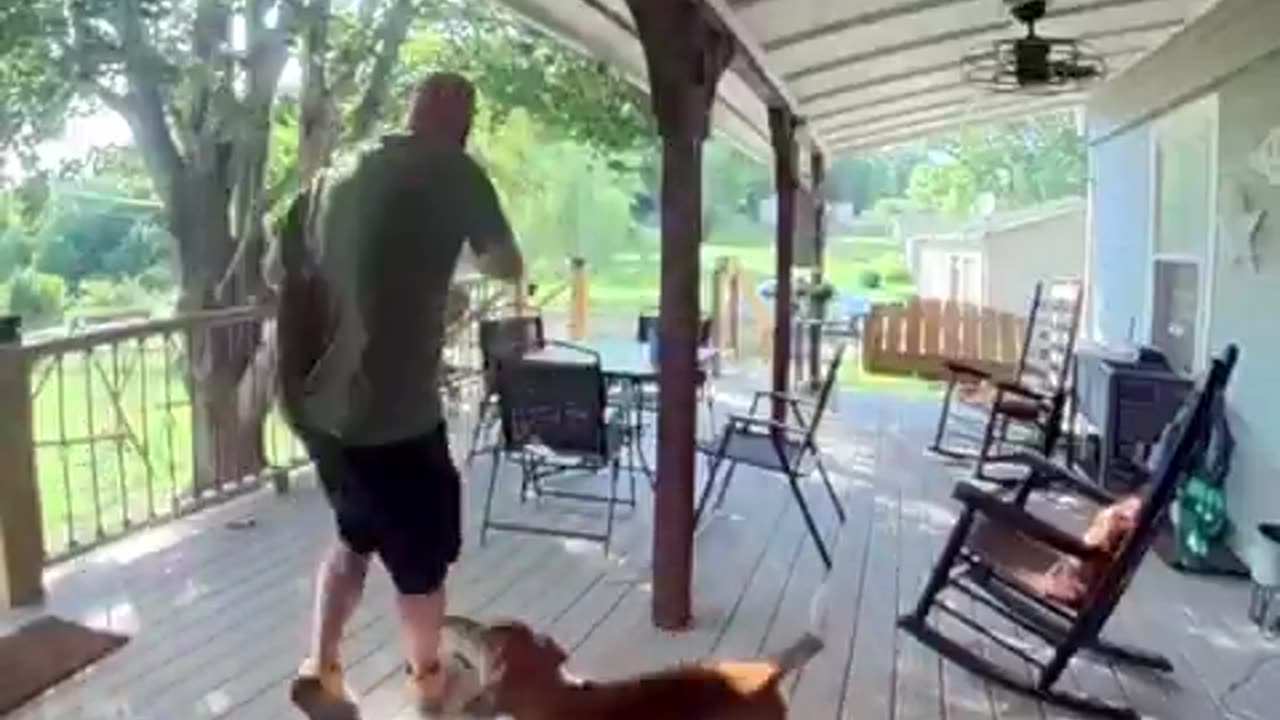 Doorbell camera catches man getting attacked by a squirrel.