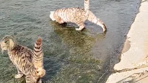 ?
