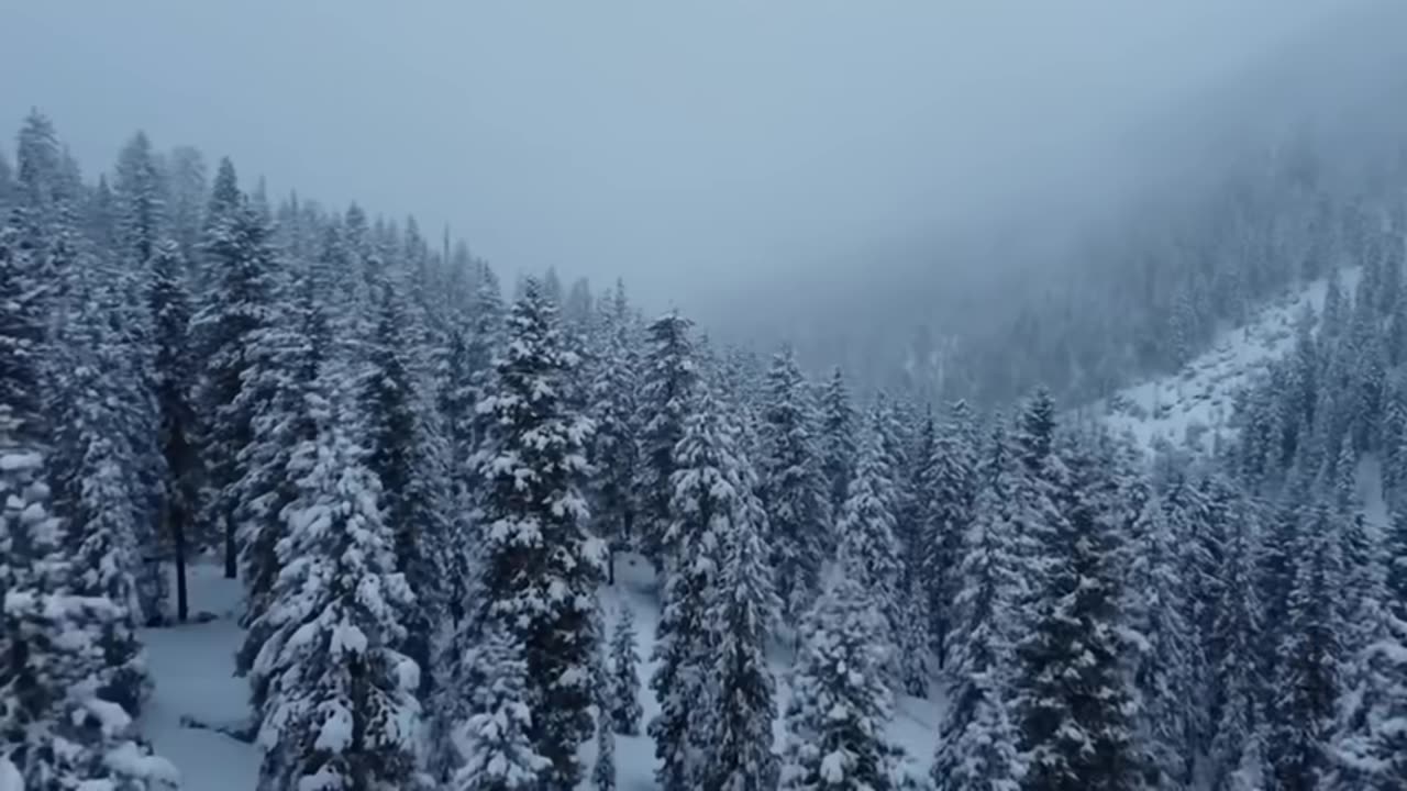 The BLIZZARD Hit Suddenly Shelter in an ABANDONED Mountain Cabin!
