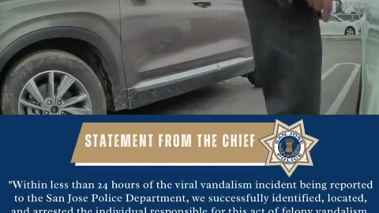 Man Arrested for Keying a Tesla FELONY VANDALISM