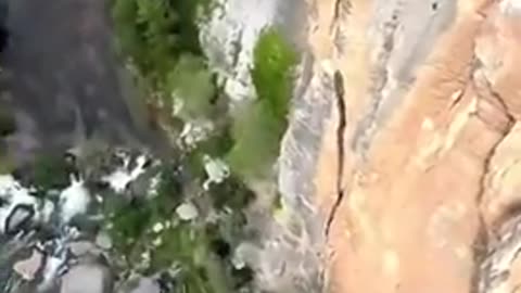 What did I just watch?