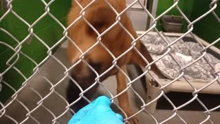 VID_20251121_180806301