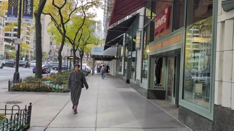 Chicago Loop to Gold Coast: A Walking Tour from Wells Street to Michigan Avenue