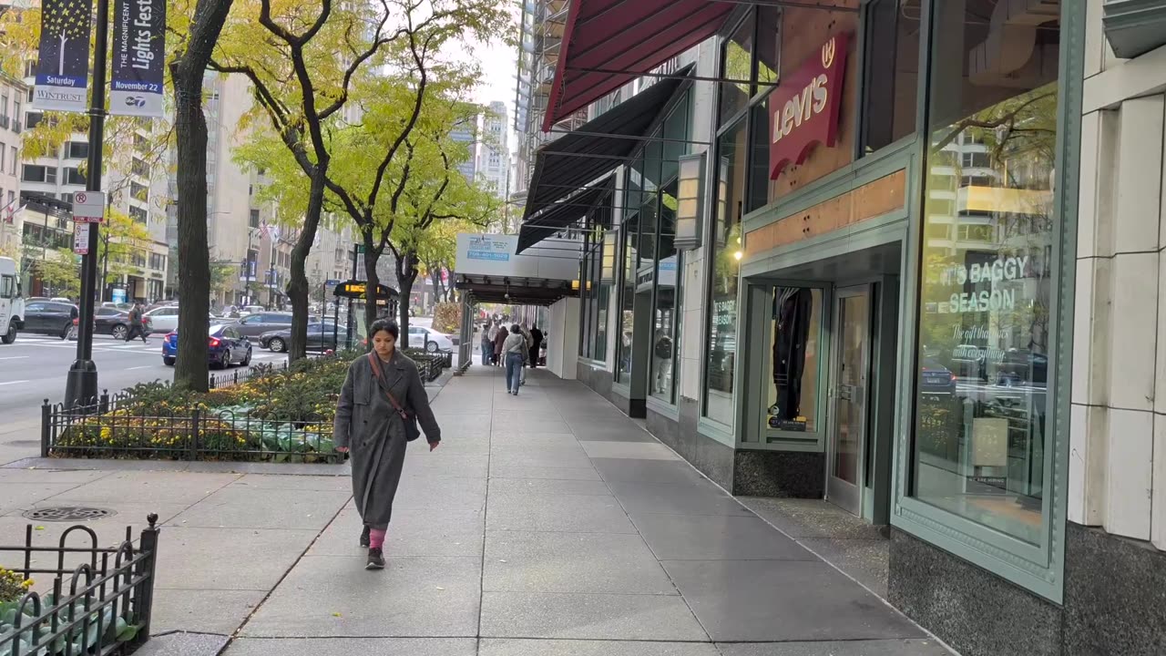 Chicago Loop to Gold Coast: A Walking Tour from Wells Street to Michigan Avenue