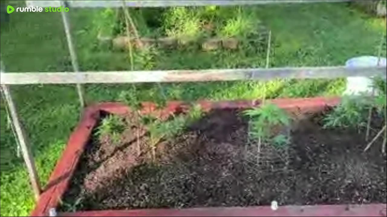 2025 outdoor grow