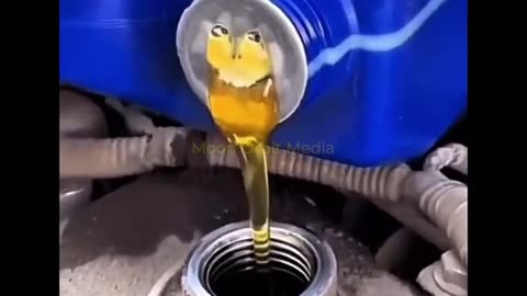 Car Oil Lid Makes the WEIRDEST Sound! 😂😭