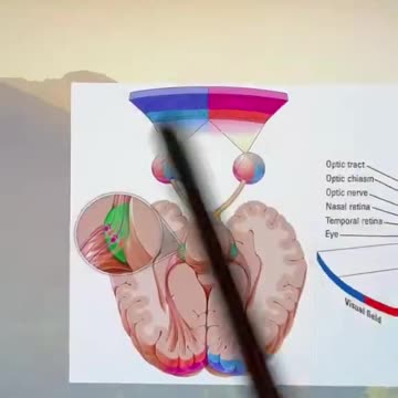 Geometry is not what you were taught.✨📐