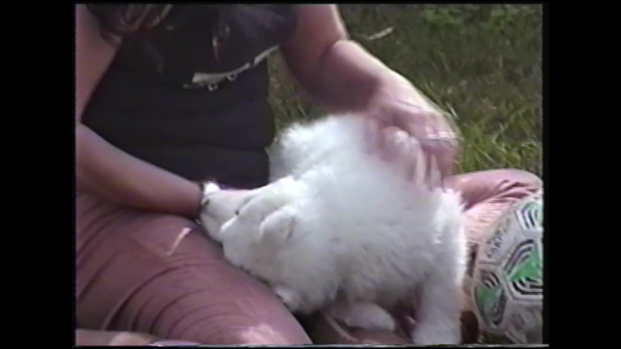 Shima Tala - Dick Sutphen & Tara Sutphen