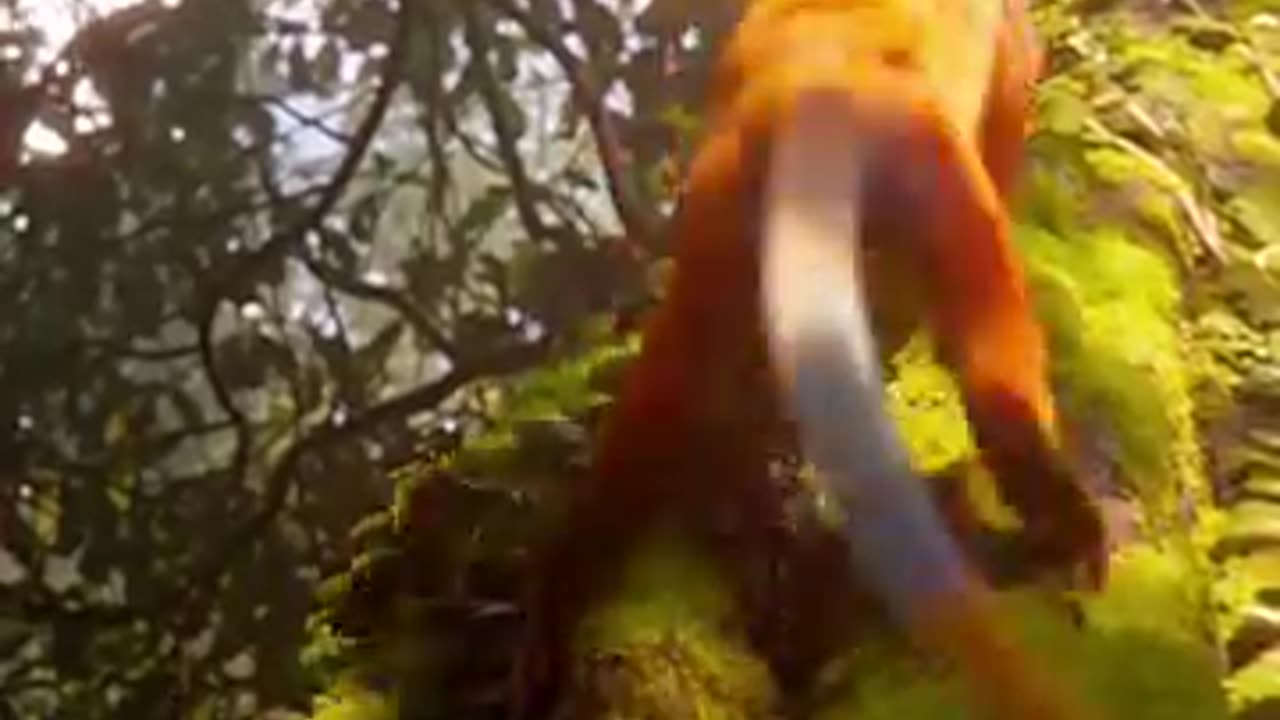 The Wilderness Teems with Fear: A Haunting Journey into Nature’s Dark Side