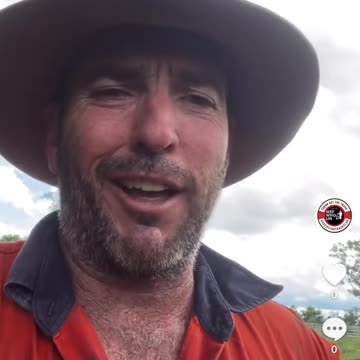 Would you bet all your cash on the top weight at Sydney Race 1 on the weekend?