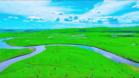 “Healing Nature: S‑Curve River & Sheep from the Sky”