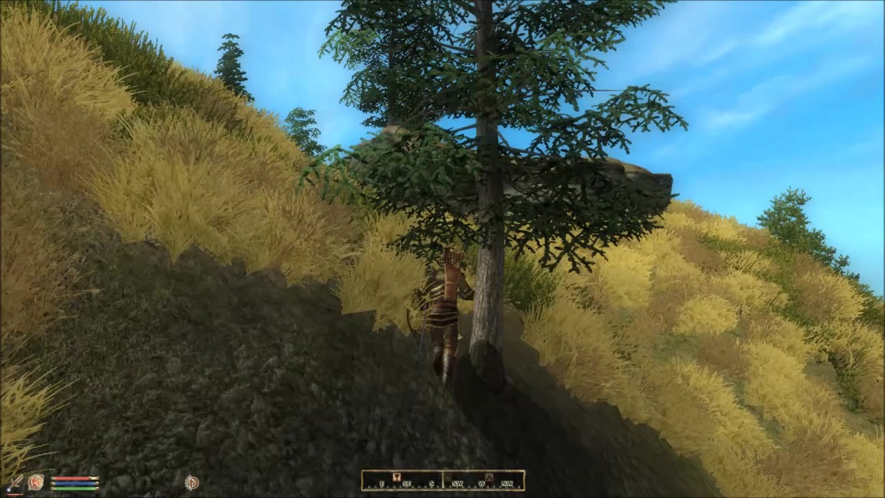 TES IV OBLIVION / PILGRIMAGE PT1