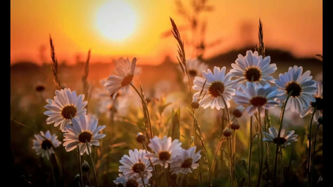New Message from Yeshua A New Day Channeled by Fran Zepeda 5 19 19