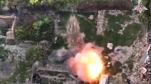 🇷🇺 🏹 🎬 The avian units have initiated an offensive