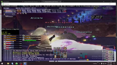 Playing Final Fantasy XI Online