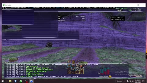 Playing Final Fantasy XI Online