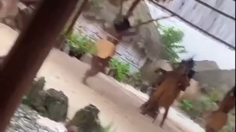 BaddieGI (Sarah Watley)