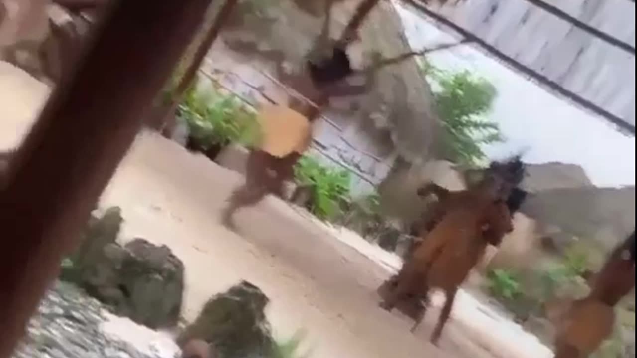 BaddieGI (Sarah Watley)