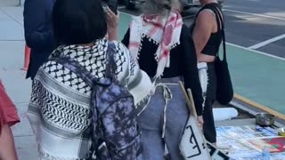 Pro-Palestinian Protests infront of UN Building