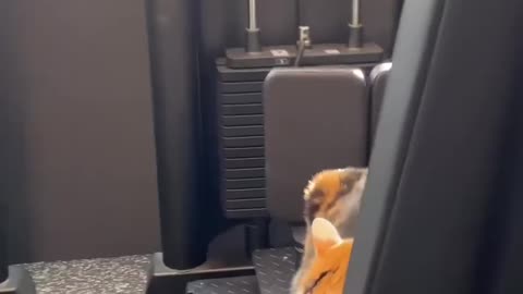 Pov: every time at the gym 😁