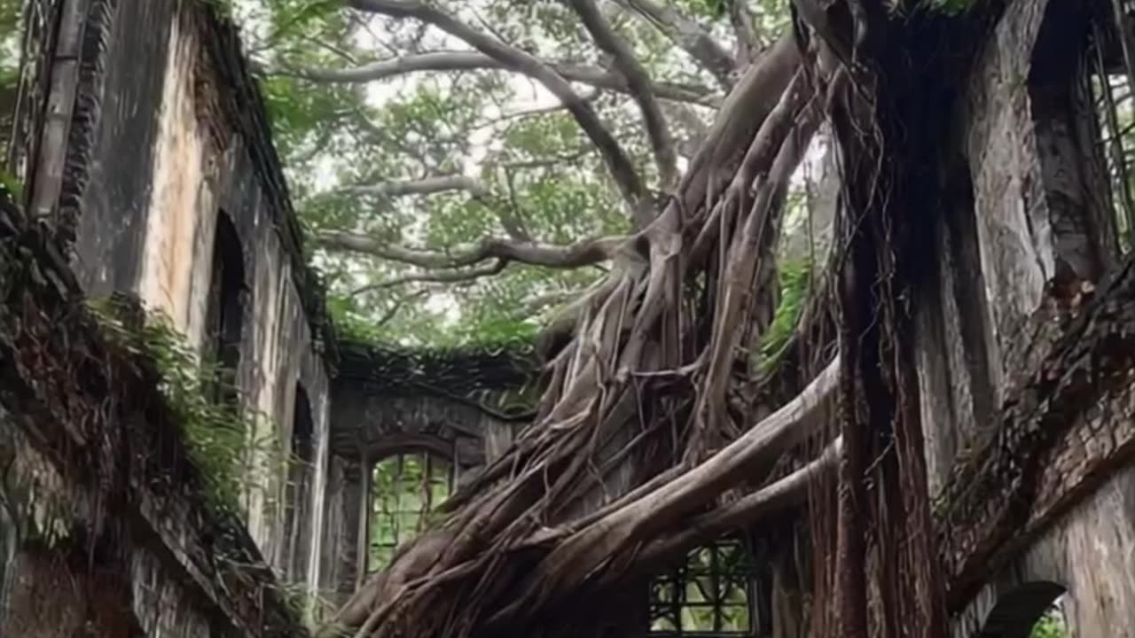 Ross Island- Where British 'paradise' was built on Indian graves