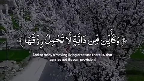 Jazakallah Subahanallah ♥️✨🕊️