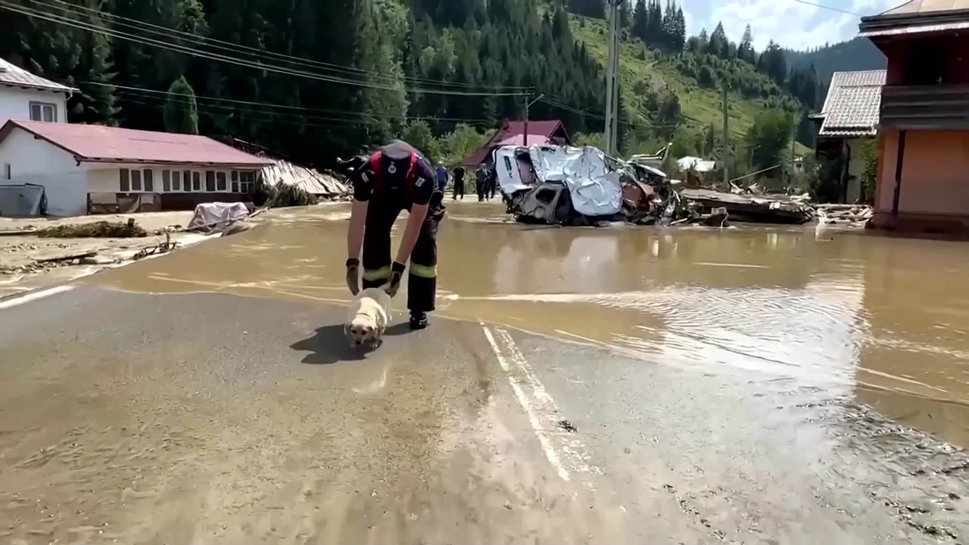 Firefighters rescue trapped dog after flash floods in Romania