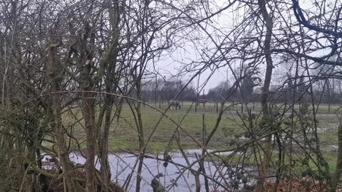 They WILL 666 SET You Up To Get You DUNN IN