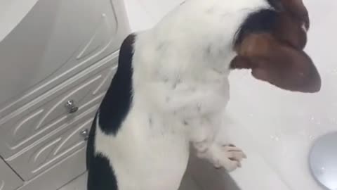 "Are you... filming this? Me? Right now?"