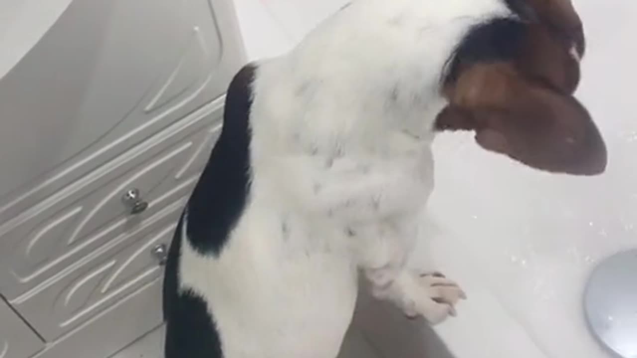 "Are you... filming this? Me? Right now?"