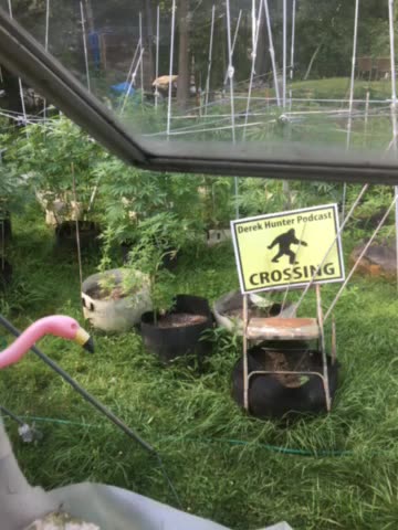 Derek Hunter 07/25/25 WMAL app tariff rebates coming & debt paid