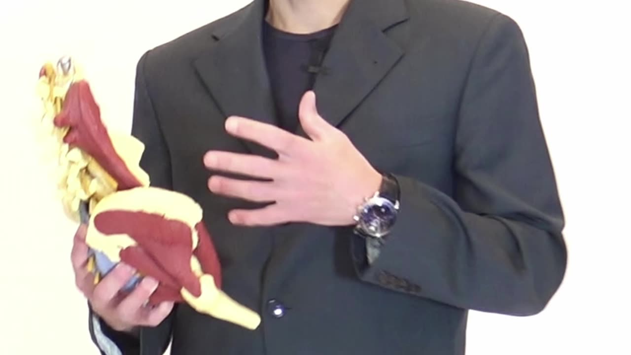 Dolore ad Anca e Inguine, Può Causare la Postura Piegata in Avanti