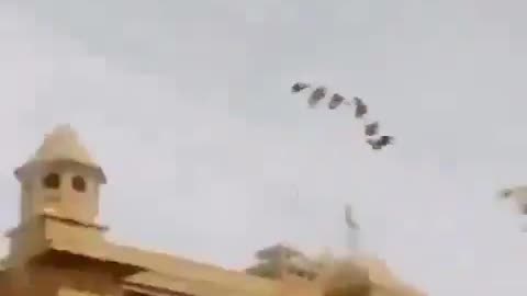 Bollywood Hero Incoming