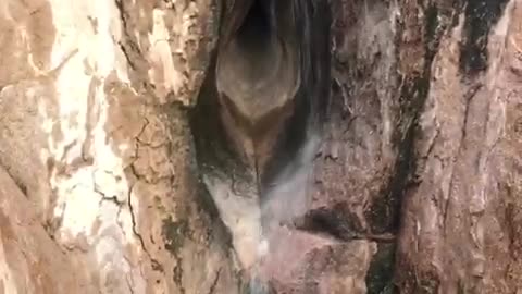 Unique water fall