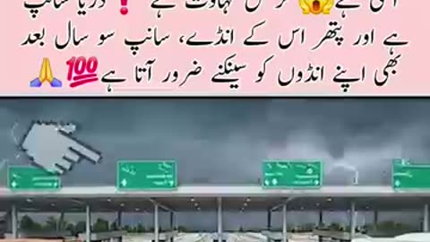 Amazing: Cloud burst on Lahore Moterway #raining #flood #trending #moments #mote