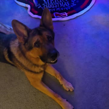 Virgil Merry Christmas.