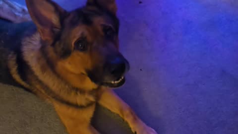 Virgil Merry Christmas.