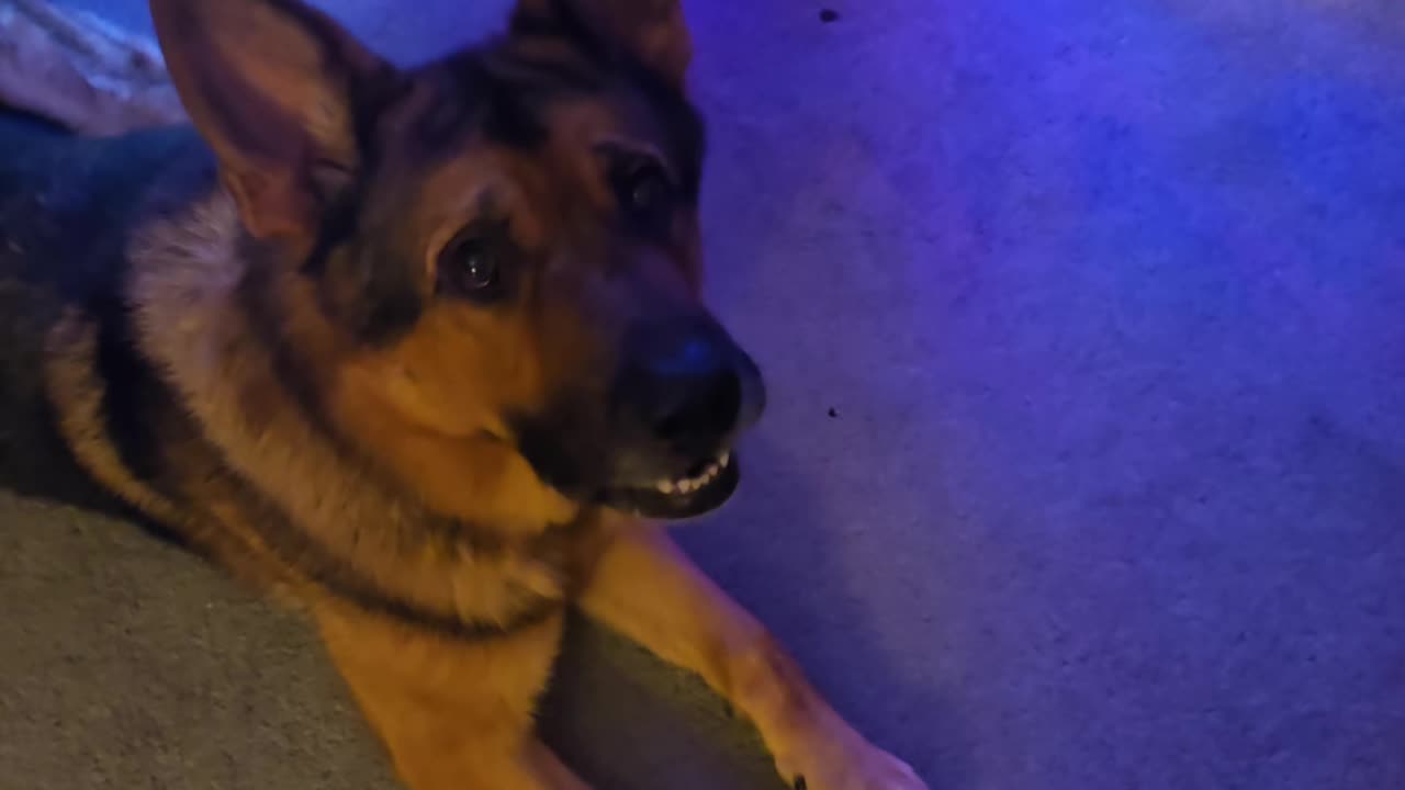 Virgil Merry Christmas.