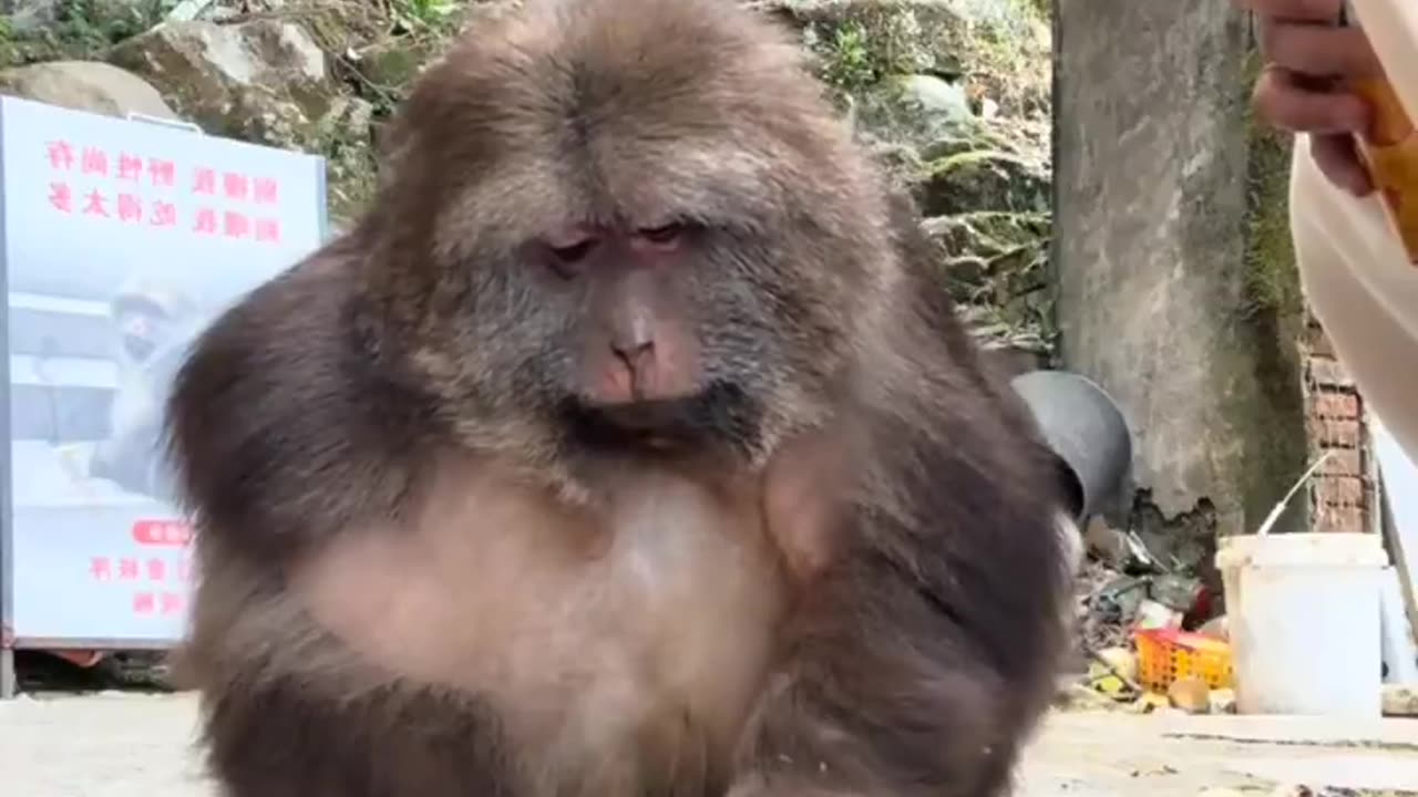 He looks like, what u got me drinking this time, son? 😀