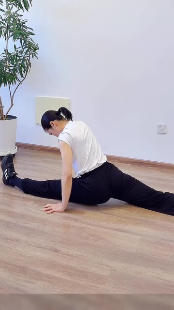 1281.一字馬訓練