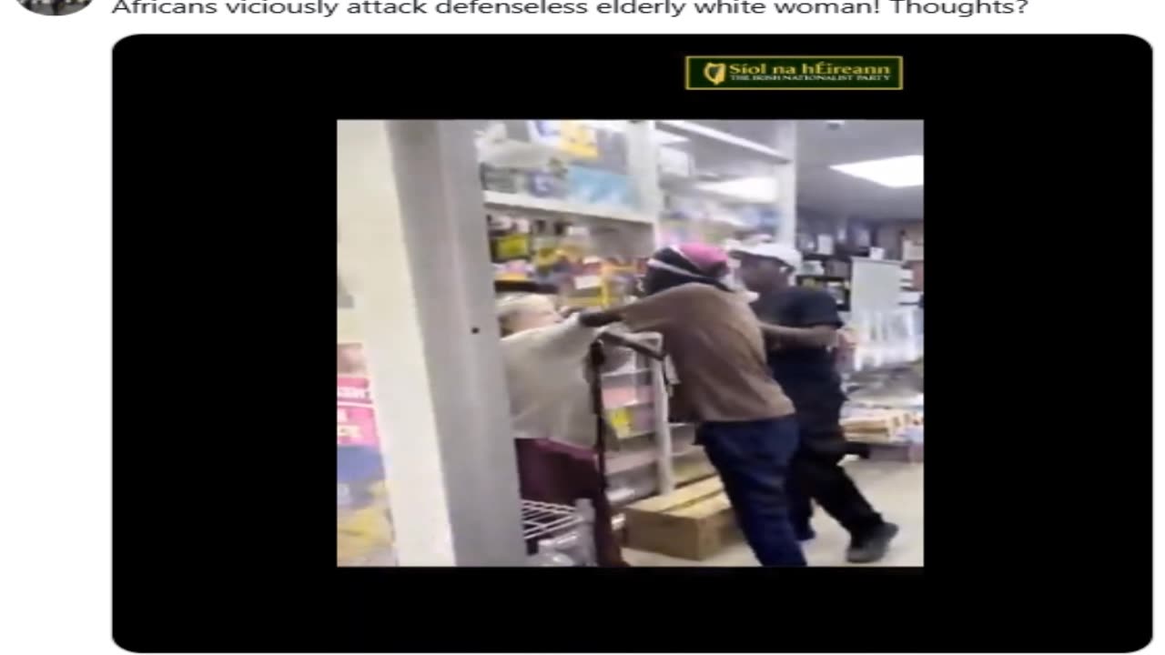 Africans viciously attack defenseless elderly white woman! Thoughts?