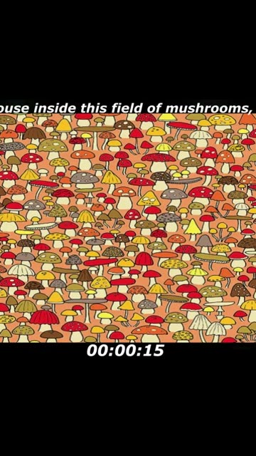 Mouse puzzle: There's a mouse inside this field of mushrooms, where he is?