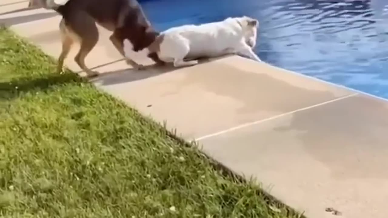 Imagine what they are doing