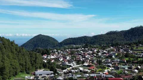 Daily Horoscope | Capricorn 🌟