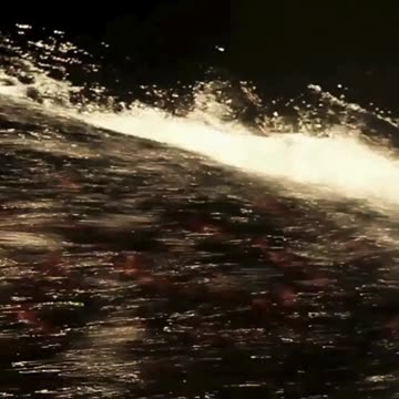 I Rode A Train From Hell