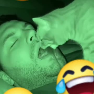 好貓咪 Good cat😂