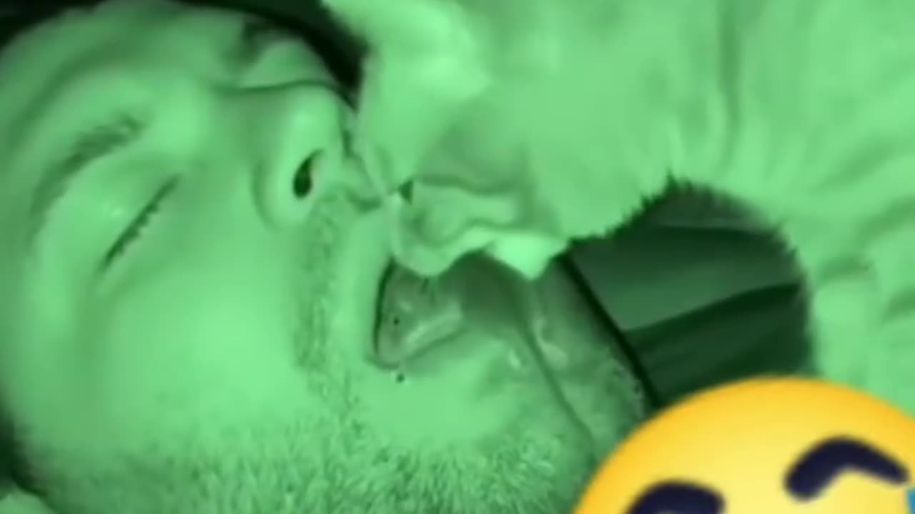 好貓咪 Good cat😂